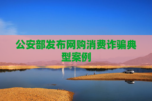 公安部发布网购消费诈骗典型案例