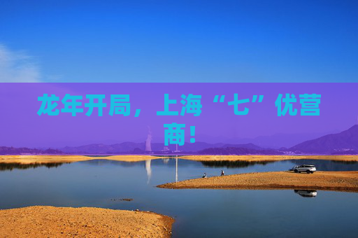 龙年开局，上海“七”优营商！