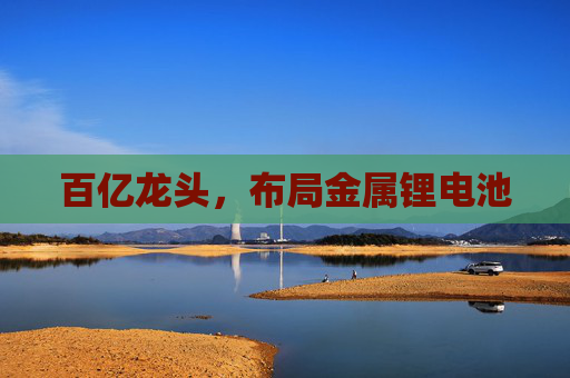 百亿龙头，布局金属锂电池