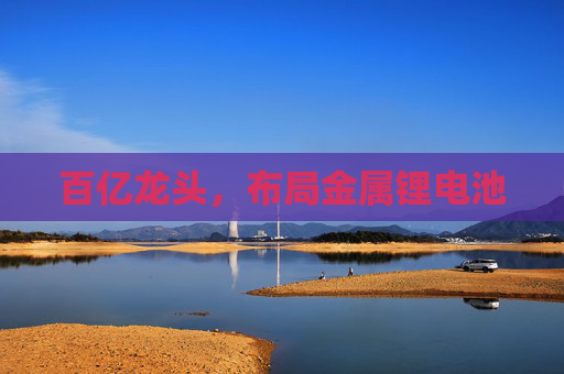 百亿龙头，布局金属锂电池