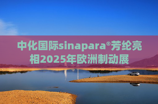 中化国际sinapara®芳纶亮相2025年欧洲制动展