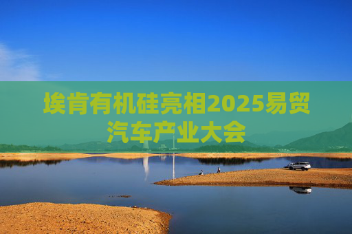 埃肯有机硅亮相2025易贸汽车产业大会