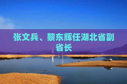张文兵、黎东辉任湖北省副省长