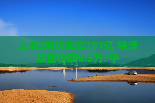 上海5地块成交191亿 杨浦楼面价破9.5万/平