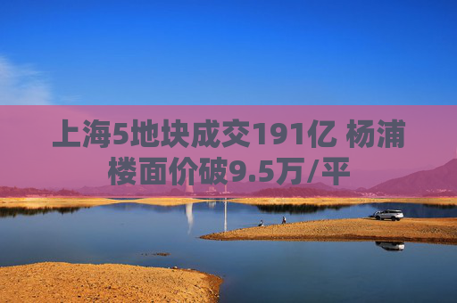 上海5地块成交191亿 杨浦楼面价破9.5万/平