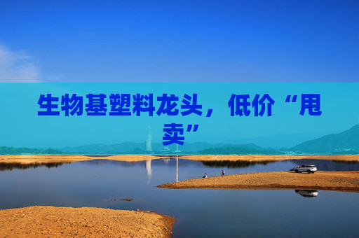 生物基塑料龙头，低价“甩卖”