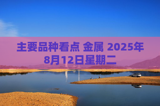 主要品种看点 金属 2025年8月12日星期二