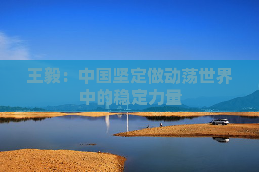 王毅：中国坚定做动荡世界中的稳定力量