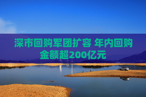 深市回购军团扩容 年内回购金额超200亿元