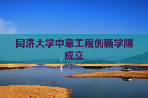 同济大学中意工程创新学院成立