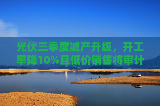 光伏三季度减产升级，开工率降10%且低价销售将审计