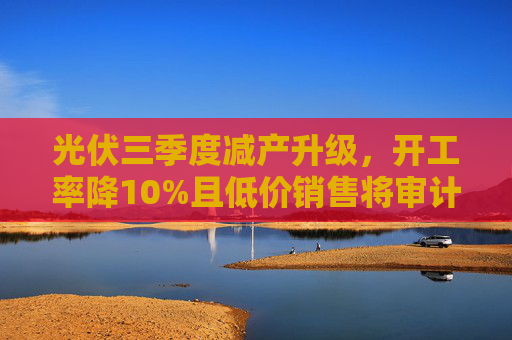 光伏三季度减产升级，开工率降10%且低价销售将审计