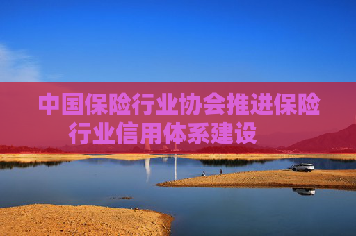中国保险行业协会推进保险行业信用体系建设 　　