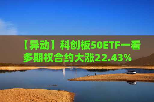 【异动】科创板50ETF一看多期权合约大涨22.43%