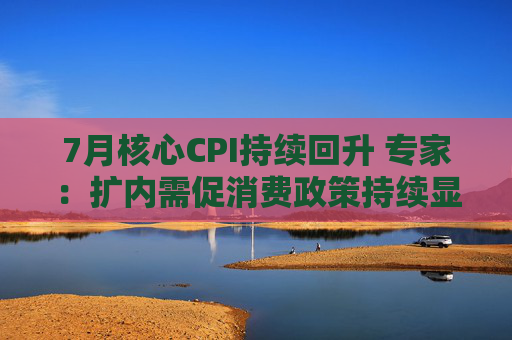 7月核心CPI持续回升 专家：扩内需促消费政策持续显效