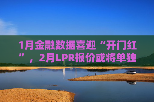 1月金融数据喜迎“开门红”，2月LPR报价或将单独下调？丨火线解读