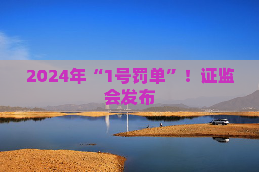 2024年“1号罚单”！证监会发布
