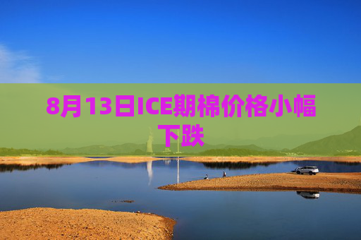 8月13日ICE期棉价格小幅下跌