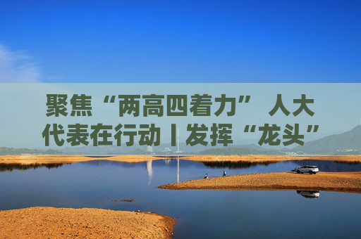 聚焦“两高四着力” 人大代表在行动丨发挥“龙头”作用 推动高质量发展
