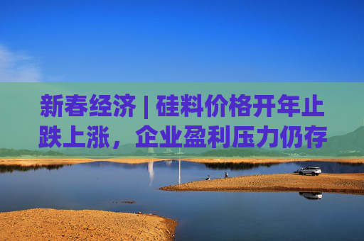 新春经济 | 硅料价格开年止跌上涨，企业盈利压力仍存，后续走势如何