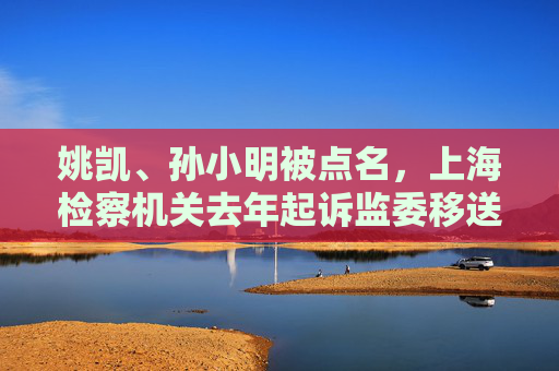 姚凯、孙小明被点名，上海检察机关去年起诉监委移送职务犯罪301人