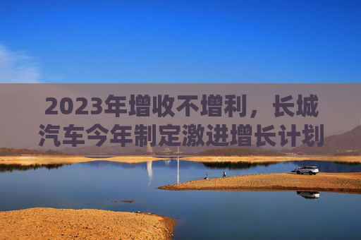 2023年增收不增利，长城汽车今年制定激进增长计划