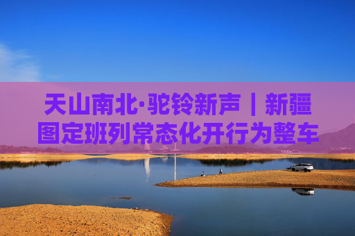 天山南北·驼铃新声｜新疆图定班列常态化开行为整车出口“保驾护航”