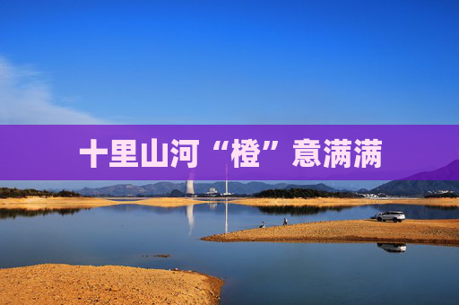 十里山河“橙”意满满