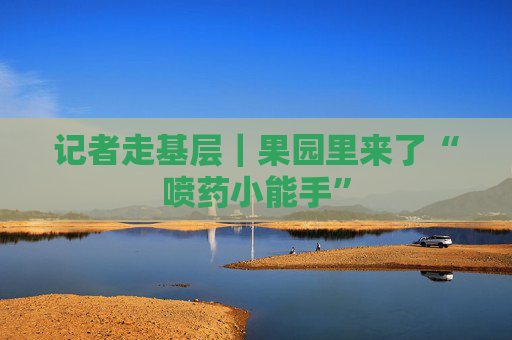 记者走基层｜果园里来了“喷药小能手”