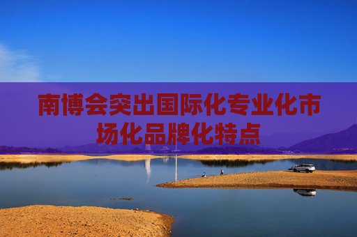 南博会突出国际化专业化市场化品牌化特点