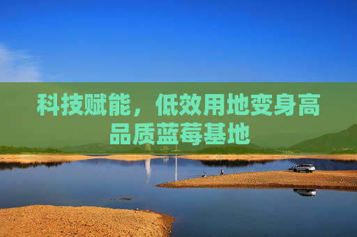 科技赋能，低效用地变身高品质蓝莓基地