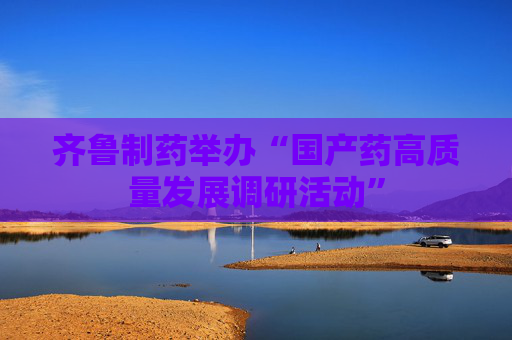 齐鲁制药举办“国产药高质量发展调研活动”
