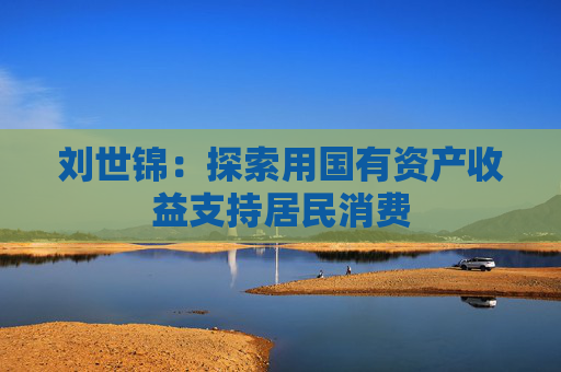 刘世锦：探索用国有资产收益支持居民消费