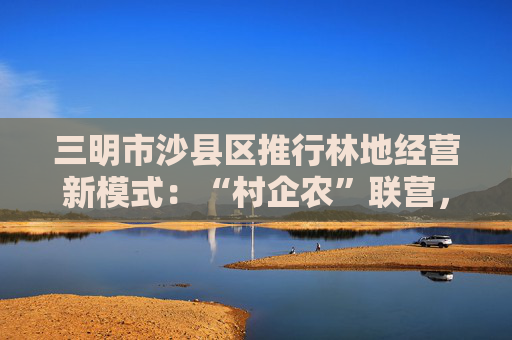 三明市沙县区推行林地经营新模式：“村企农”联营，分享收益