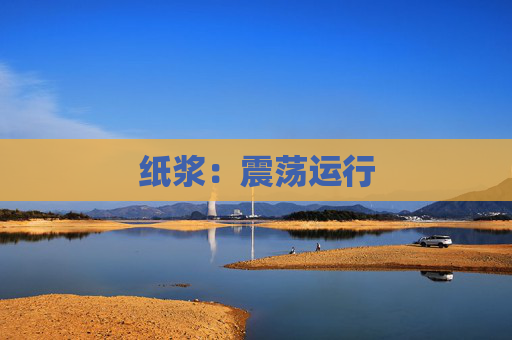 纸浆：震荡运行