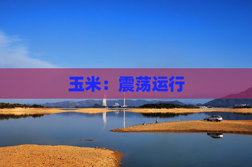 玉米：震荡运行