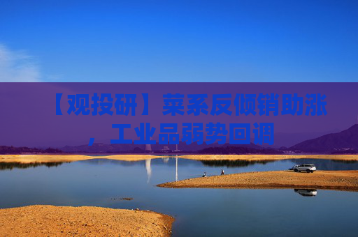 【观投研】菜系反倾销助涨，工业品弱势回调