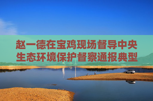 赵一德在宝鸡现场督导中央生态环境保护督察通报典型案例整改工作时强调 拿出坚决态度采取有力措施 扎实推动问题全面彻底整改