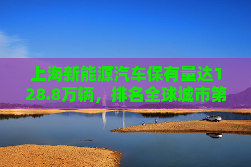 上海新能源汽车保有量达128.8万辆，排名全球城市第一