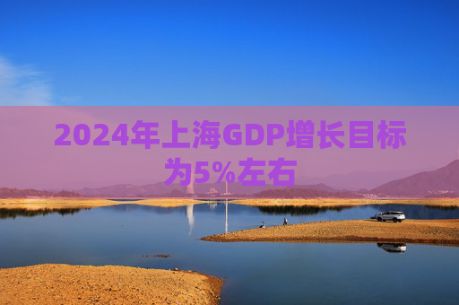 2024年上海GDP增长目标为5%左右