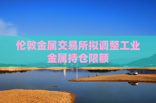 伦敦金属交易所拟调整工业金属持仓限额