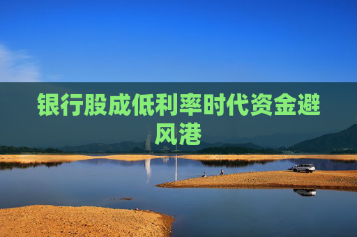 银行股成低利率时代资金避风港