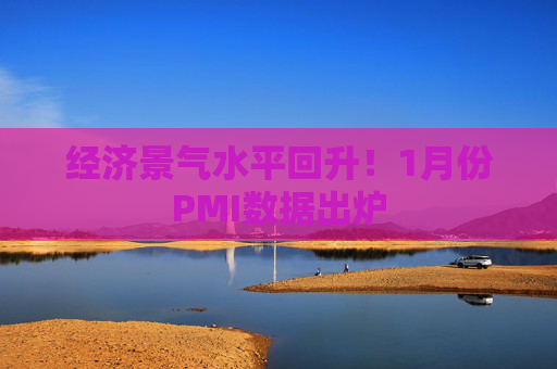 经济景气水平回升！1月份PMI数据出炉