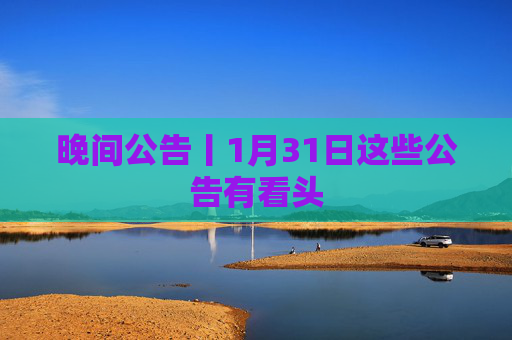 晚间公告丨1月31日这些公告有看头
