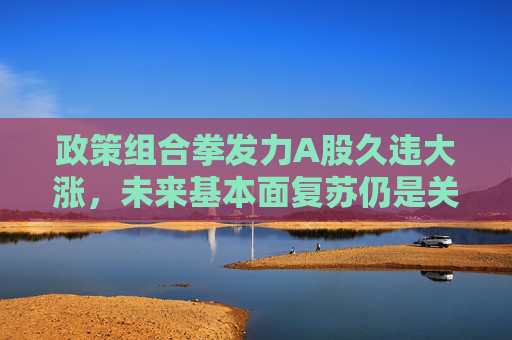 政策组合拳发力A股久违大涨，未来基本面复苏仍是关键