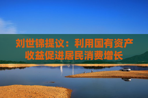 刘世锦提议：利用国有资产收益促进居民消费增长