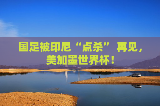 国足被印尼“点杀” 再见，美加墨世界杯！