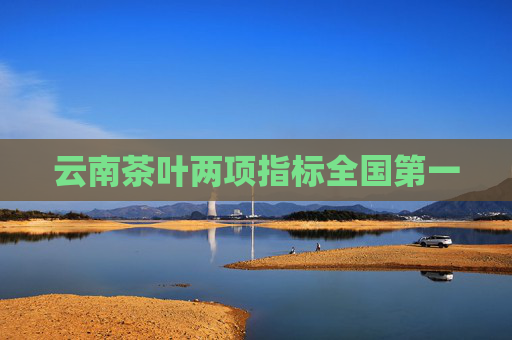 云南茶叶两项指标全国第一