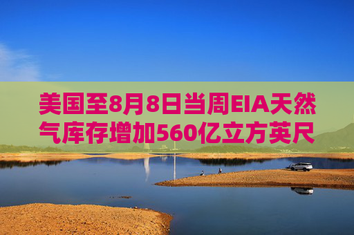 美国至8月8日当周EIA天然气库存增加560亿立方英尺