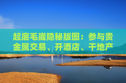 起底毛崴隐秘版图：参与贵金属交易、开酒店、干地产，一路获“贵人”相助
